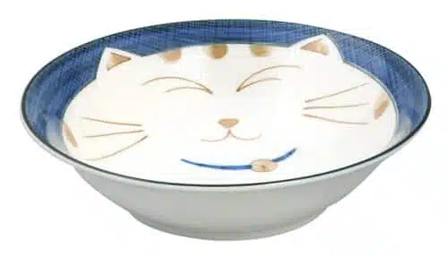 Kawaii Porseleinen Kom - Blauwe Kom - 450ml 16.5cm