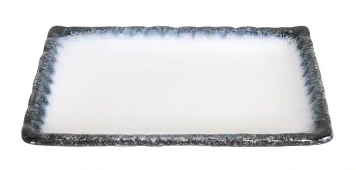 Rechthoekig Bord Grijs/Wit - Tajimi - Porselein - 21.7 x 15 x 2.5 cm