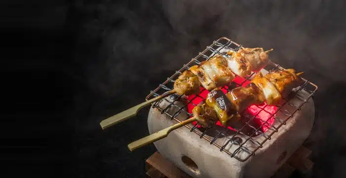 Konro Grill met Net - Compacte Japanse Barbecue - 30 x 12 cm - Afbeelding 2