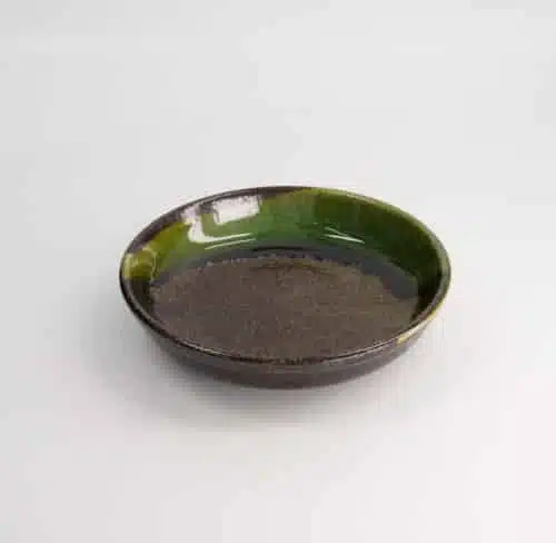Tokyo Design Studio - Large Plates - Pasta Bord - Amanogawa - Groen - 21.5x4.5cm