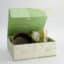 Tokyo Design Studio - Matcha Cadeauset - Groen/Bruin - 12x7.5cm